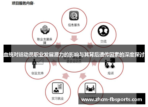 血统对运动员职业发展潜力的影响与其背后遗传因素的深度探讨