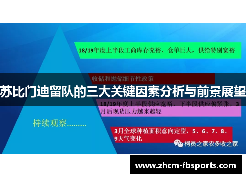 苏比门迪留队的三大关键因素分析与前景展望 苏比门迪留队的三大关键因素分析与前景展望