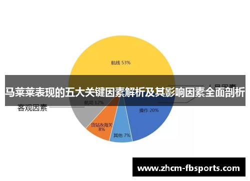 马莱莱表现的五大关键因素解析及其影响因素全面剖析